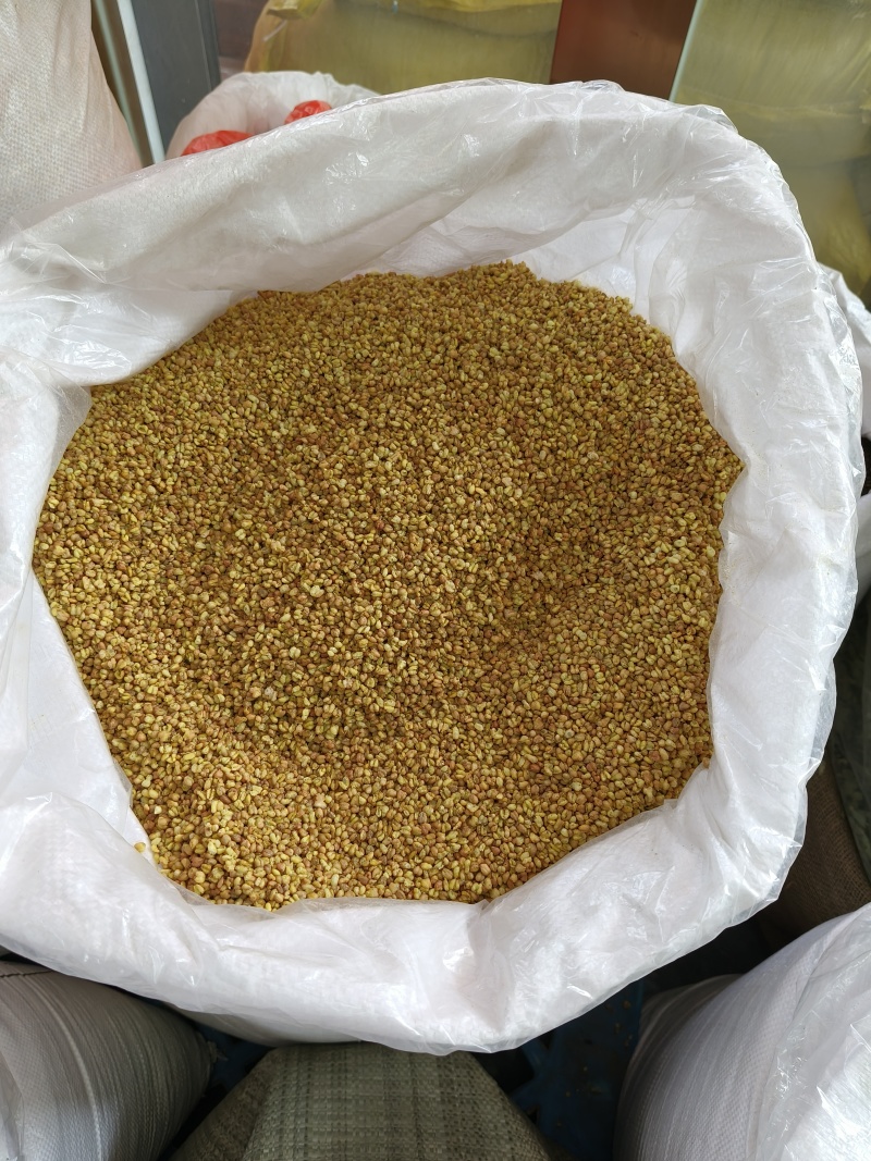 苦荞茶黄苦荞网红品大货供应各种门店直播带货电商一手货