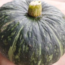 板栗南瓜