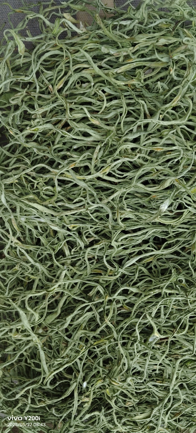 豆角丝架豆王丝干豆角脱水长豆角脱水蔬菜干菜