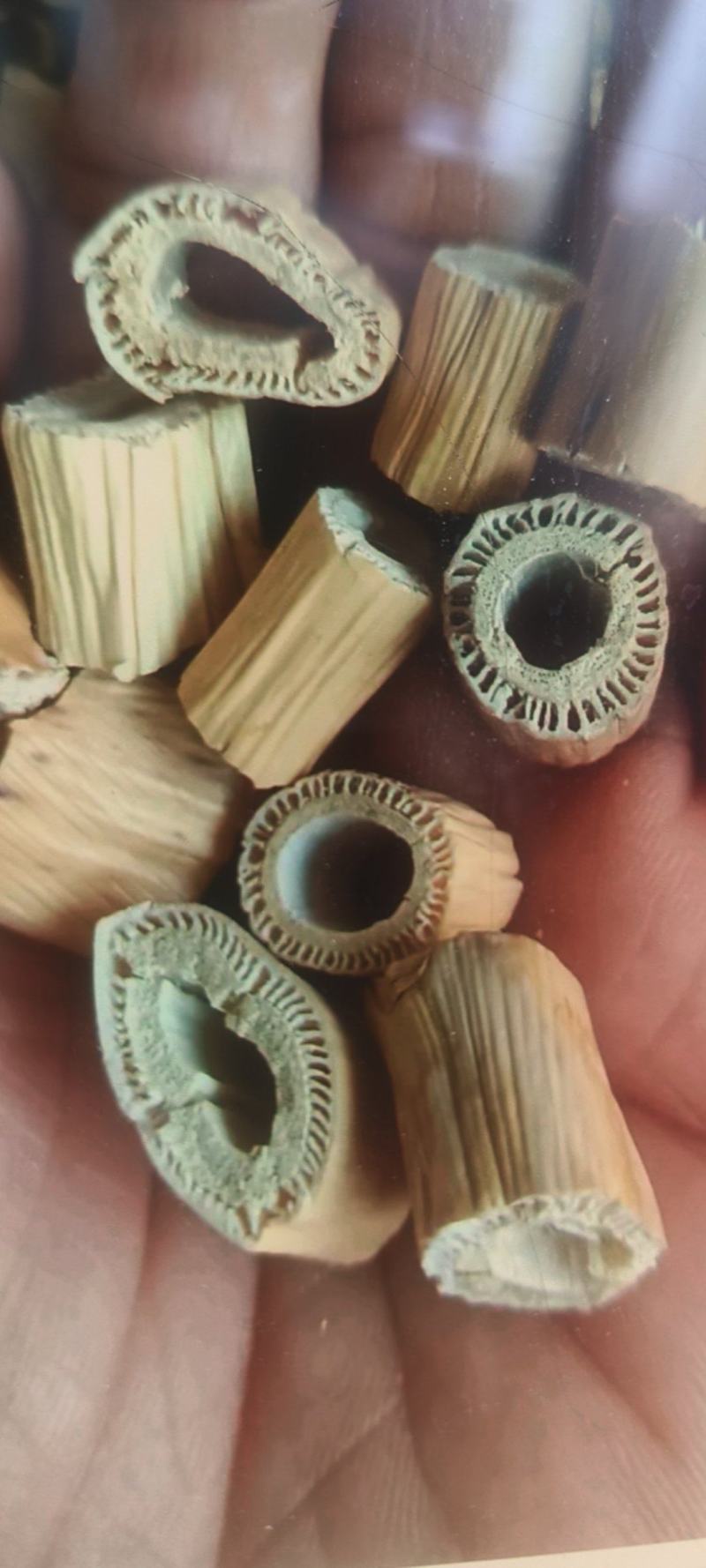 【芦根】芦苇根过筛无硫野生***正品新货