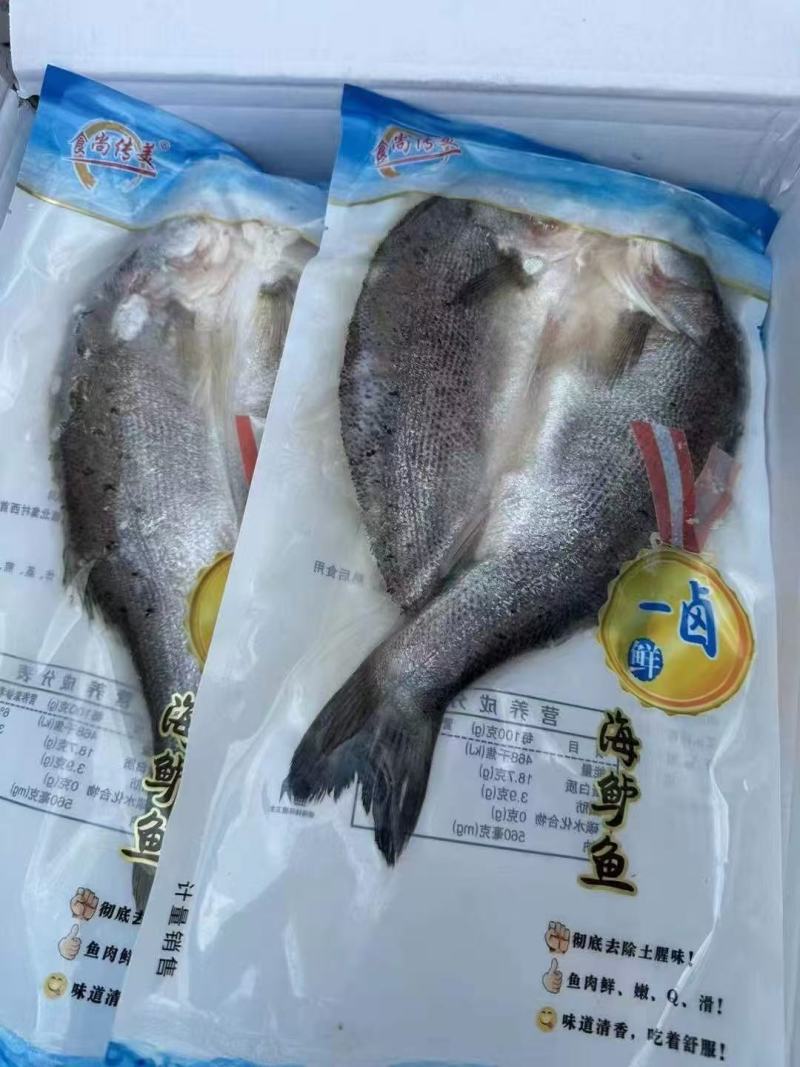 深海白蕉花刀开背海鲈鱼一箱20斤10条16条18条20条