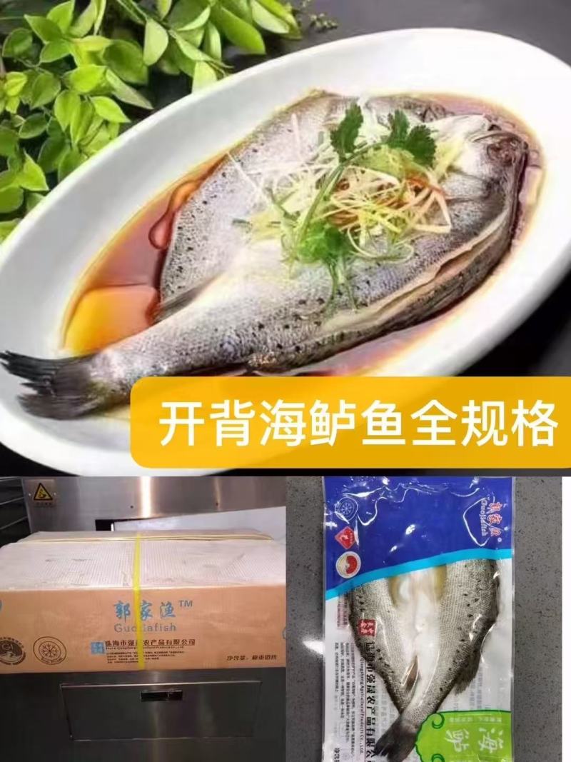 深海白蕉花刀开背海鲈鱼一箱20斤10条16条18条20条