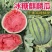 《美都西瓜》美都麒麟瓜/开封无籽西瓜/现摘现发/包熟包甜