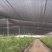 遮阳网遮阳率50%加密加厚厂家直发量大从优欢迎咨询