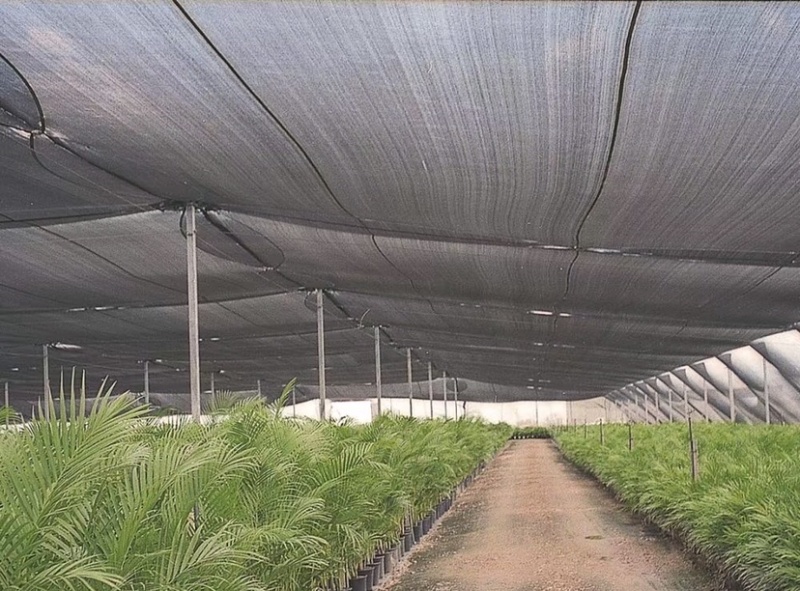 遮阳网遮阳率50%加密加厚厂家直发量大从优欢迎咨询