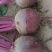 紫色甜菜根