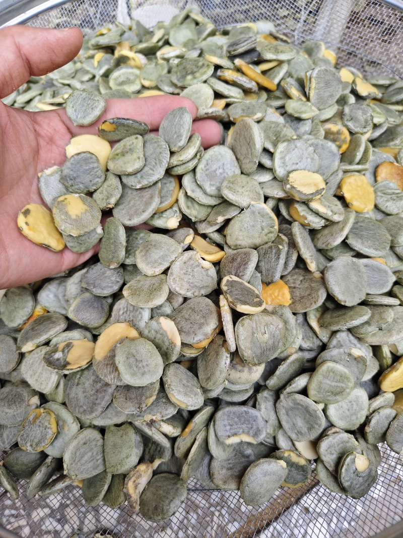 木鳖子去壳木鳖子仁散装批发