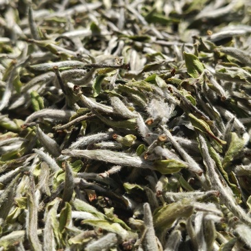茶叶生产供应链厂家白茶红茶绿茶岩茶花茶礼盒定制一件代发