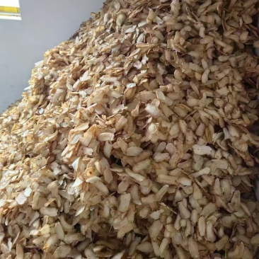 正宗昭通彝良小草坝天麻片纯干无硫不抛光不打蜡纯色