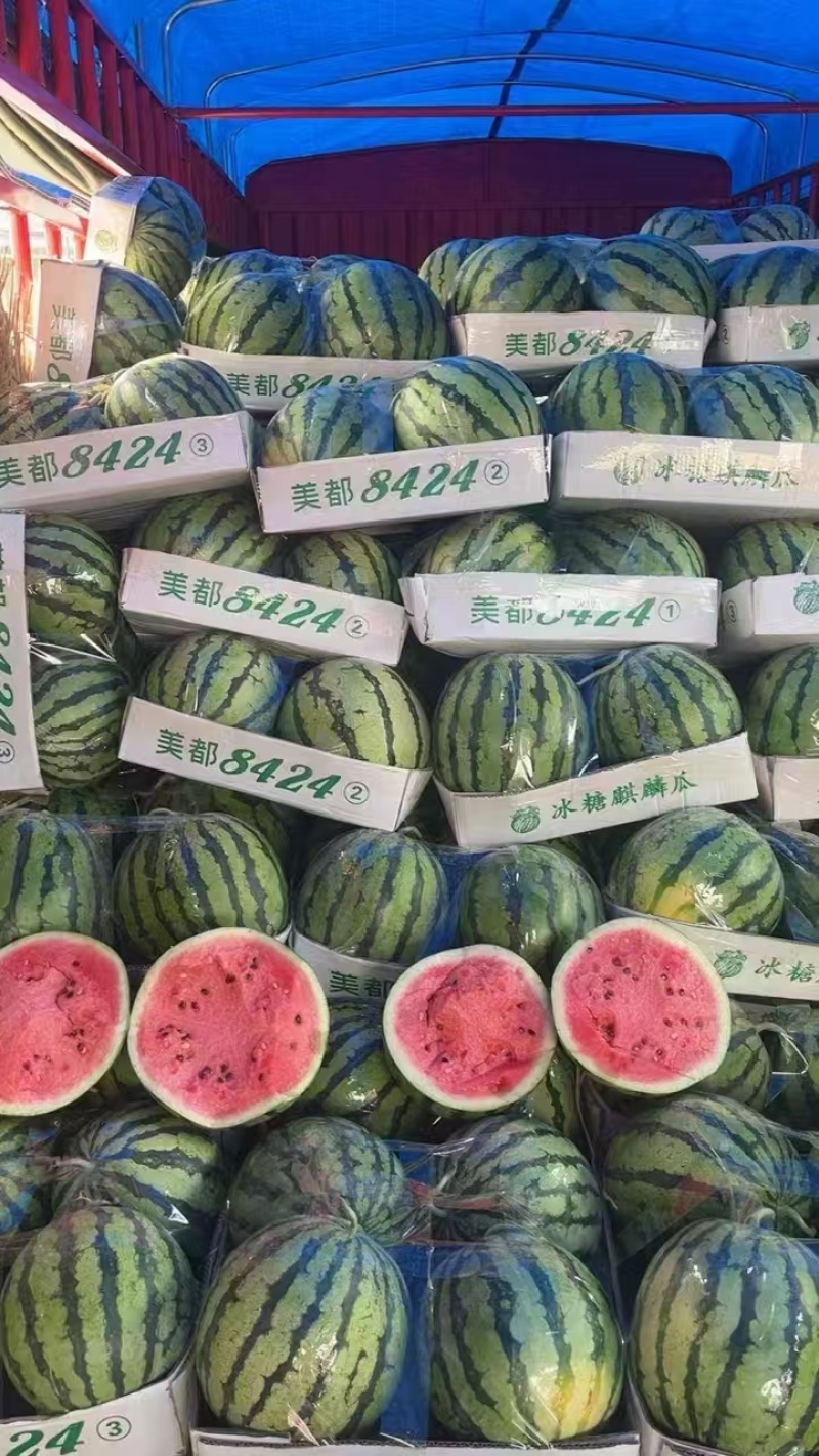湖北美都8424麒麟瓜甜王个大口感甜