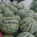 湖北美都8424麒麟瓜甜王个大口感甜