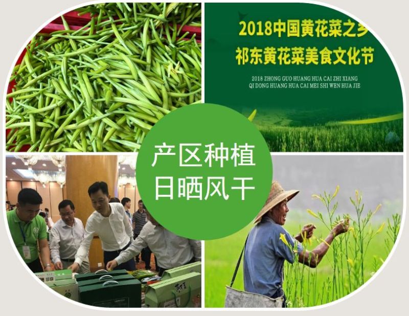 包邮）新货全干农家无硫磺优质祁东熟蒸金针黄花菜干货批发