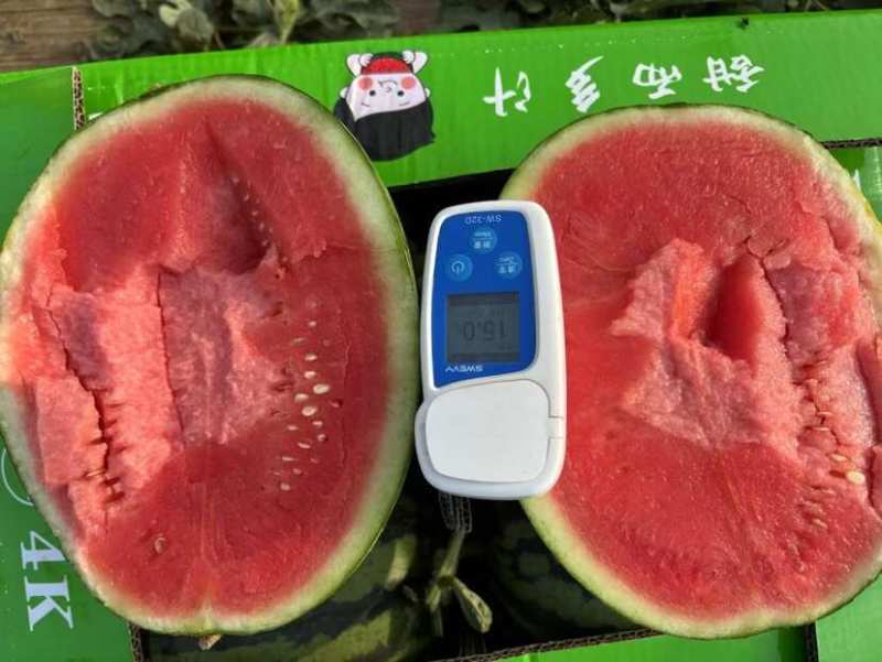 4k西瓜陕西渭南甘美4k西瓜承接商超电商代收代发全国