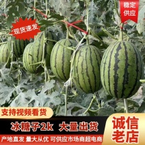 2k小吊瓜，产地直发一手货源，海量供应