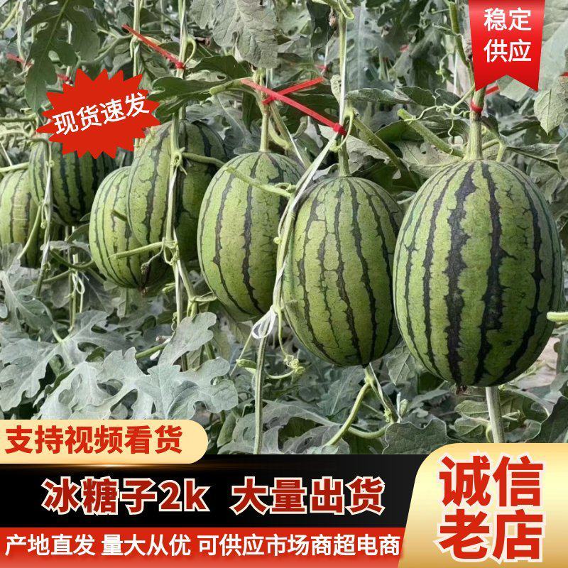 2k小吊瓜，产地直发一手货源，海量供应