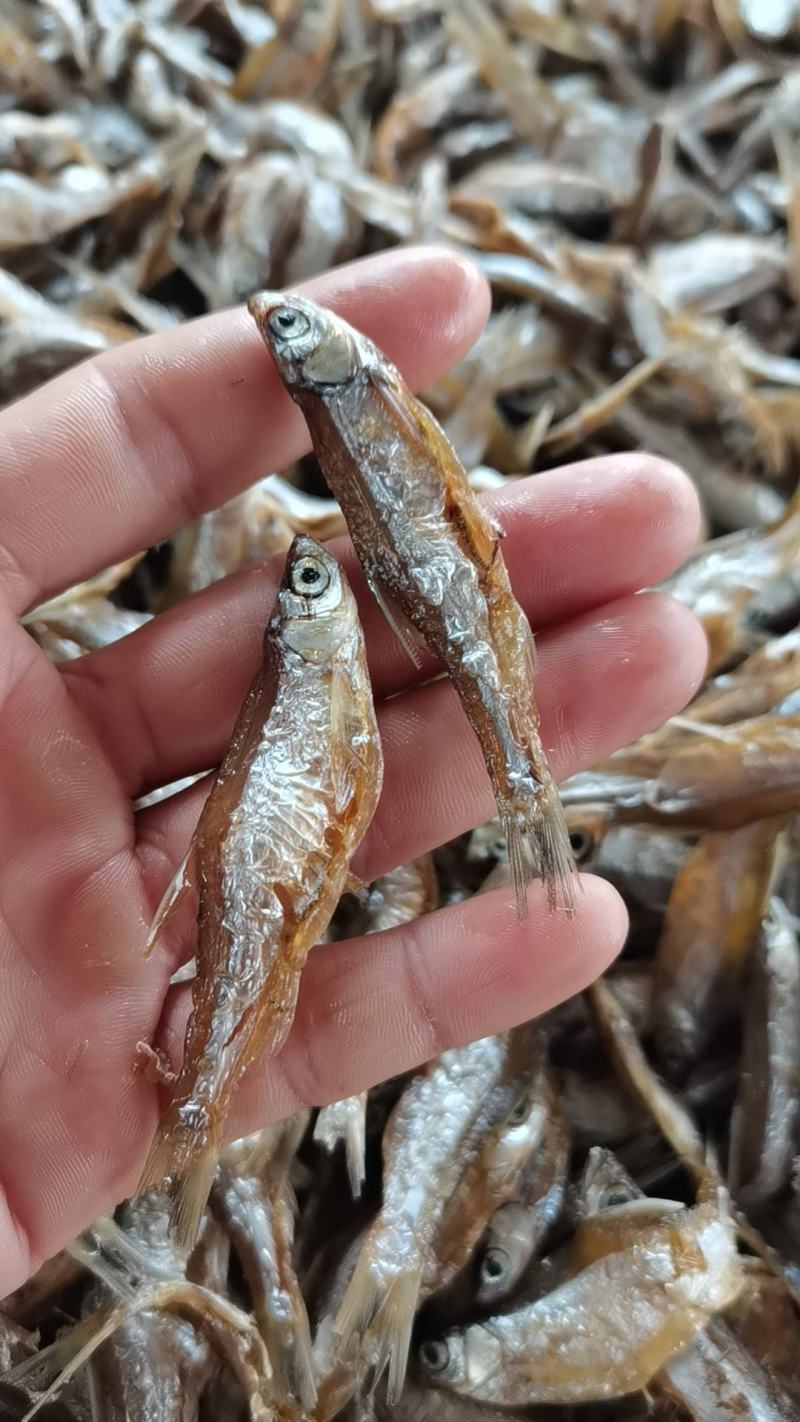 油炸白肖/开肚/鱼干/干货/小白条/水库鱼/河鱼/包邮