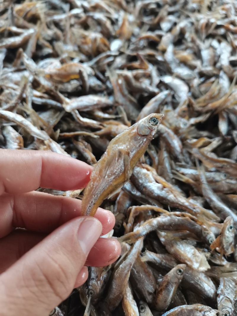油炸白肖/开肚/鱼干/干货/小白条/水库鱼/河鱼/包邮