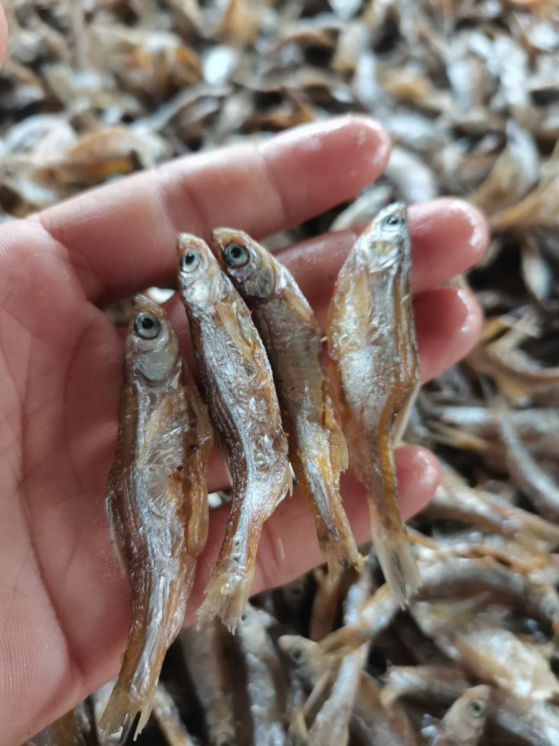 油炸白肖/开肚/鱼干/干货/小白条/水库鱼/河鱼/包邮