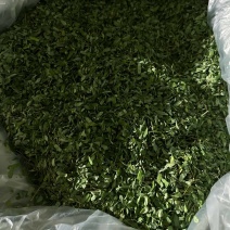 2025年新鲜靓货带梗鸡骨草茶，叶超多足干耐绿。