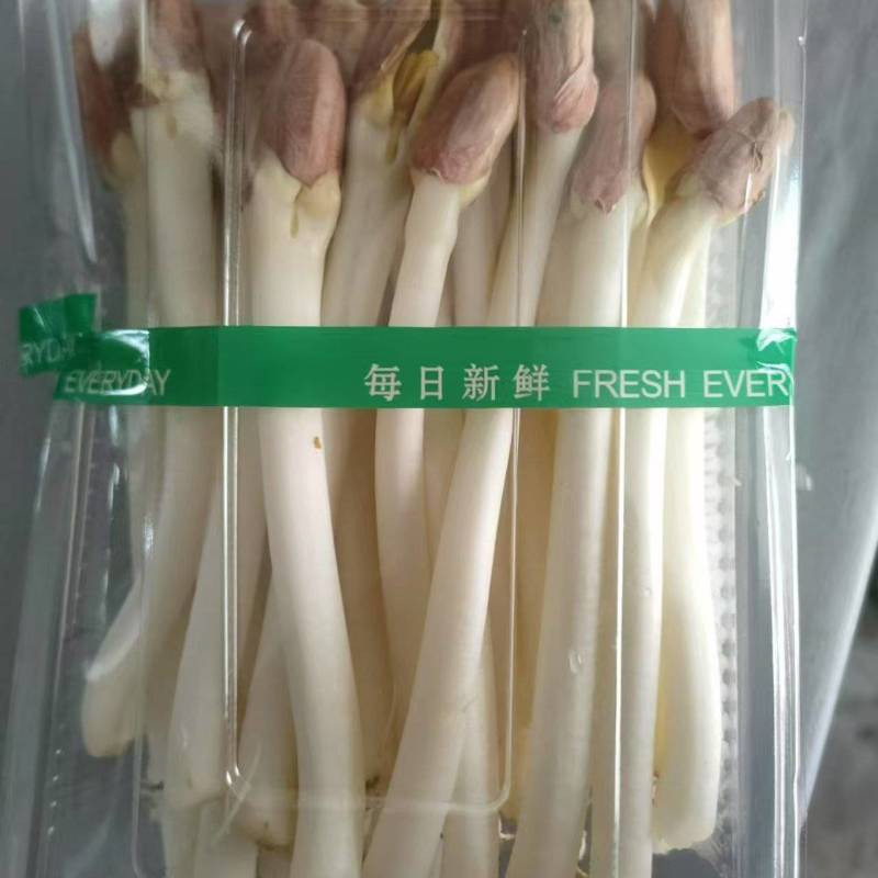 花生芽是花生生芽后产生的一种食疗兼备的食品，也叫长寿芽。