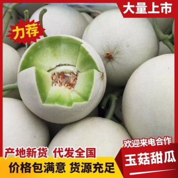 【精品】山东玉菇甜瓜口感香甜产地直发，服务周到欢迎选购