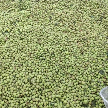 小苹果