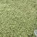 小苹果