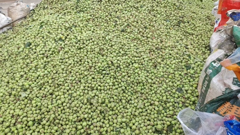 小苹果