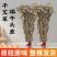 端午新鲜艾草叶整棵泡脚包结婚一对新鲜坐月子洗澡野生带杆艾蒿