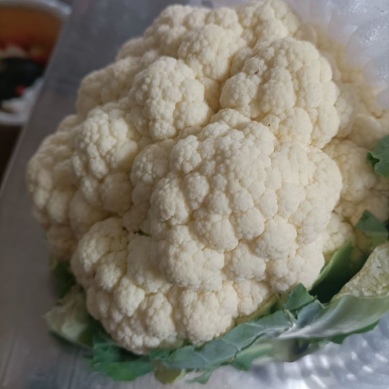 2025年现摘花菜一手货源