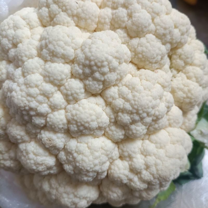 2025年现摘花菜一手货源