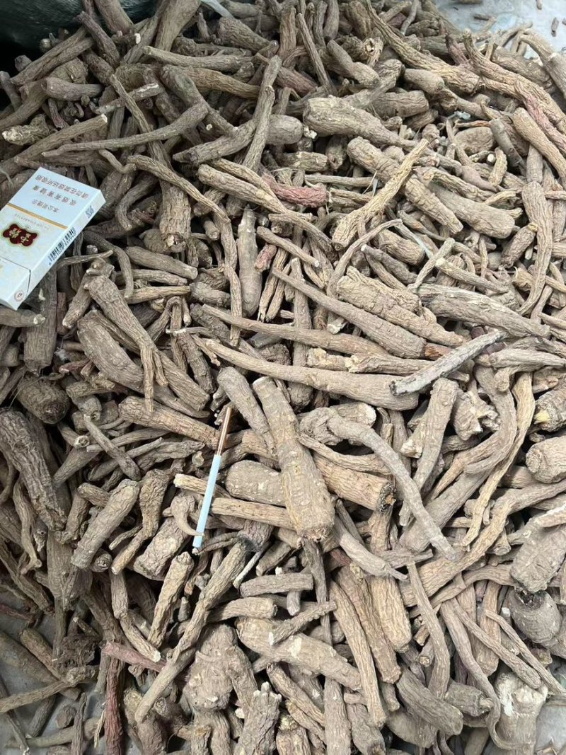 药厂货个子无硫白芷价格好商议
