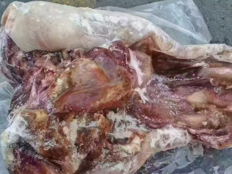 熟牛头肉