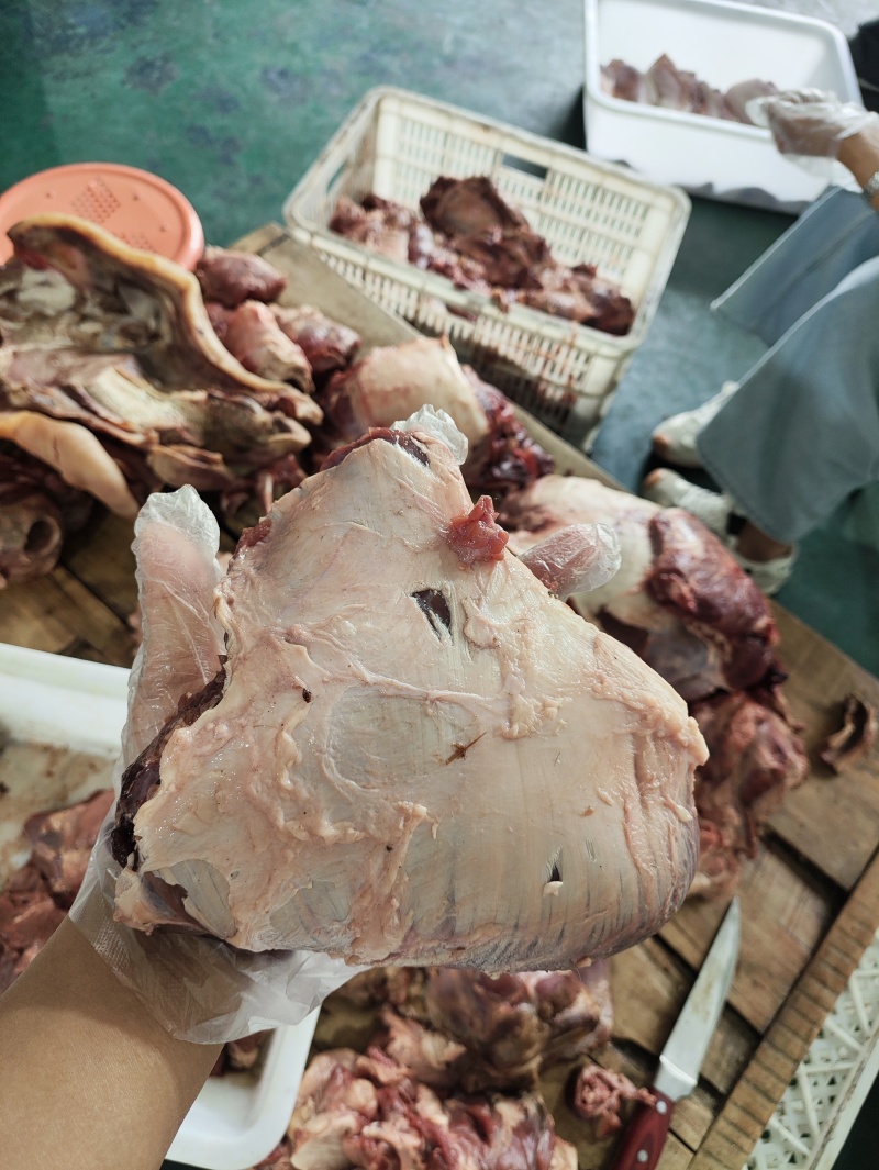 牛大脸肉，牛肉，卤煮佳品，带肉带筋