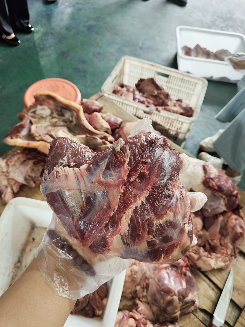 牛大脸肉，牛肉，卤煮佳品，带肉带筋