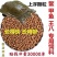包邮）甲鱼饲料鳖饲料中华鳖水鱼团小甲鱼饲料王八珍珠鳖