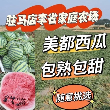 《可随意挑选》露天美都西瓜/5斤打底九成熟/农户自产自销