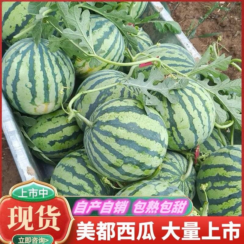 一亩田 | 美都西瓜河南驻马店泌阳县0.58元/ | 《露天美都西瓜》农