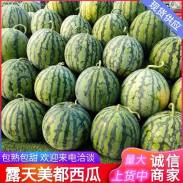 《农户自产自销》美都麒麟西瓜/露天西瓜/包熟包甜随意挑选