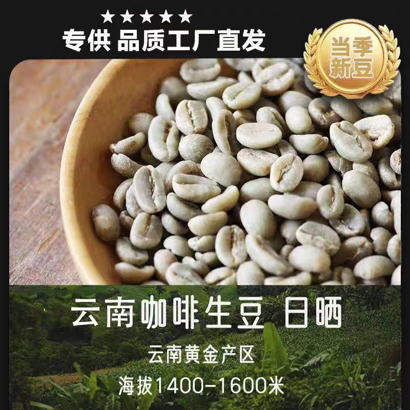 云南保山潞江坝赧亢卡蒂姆啡生豆。
