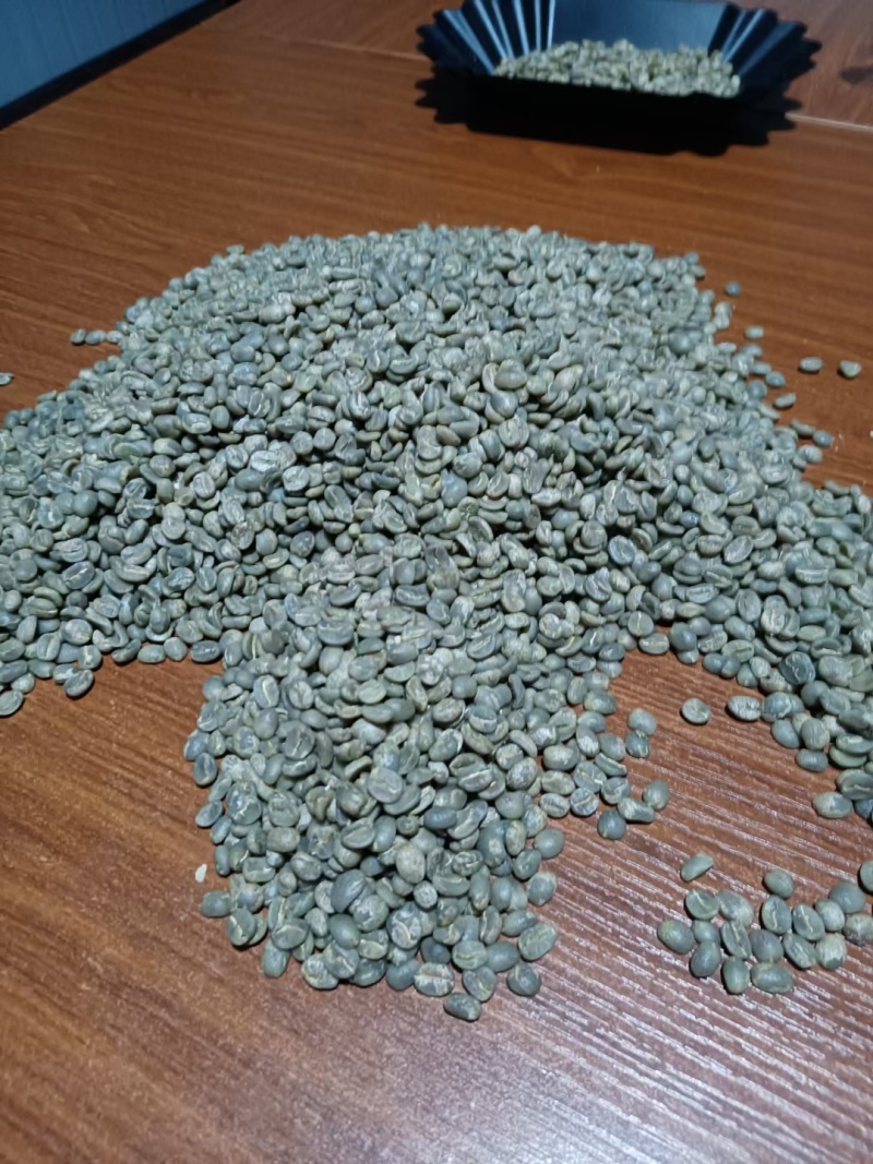云南保山潞江坝赧亢卡蒂姆啡生豆。