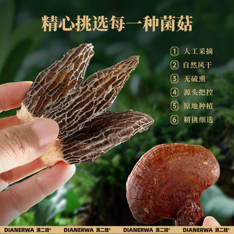 滇二娃农科院羊肚菌灵芝菌汤包菌菇汤料包干货虫草花火锅煲汤食材