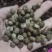 刨花润楠种子刨花楠种子