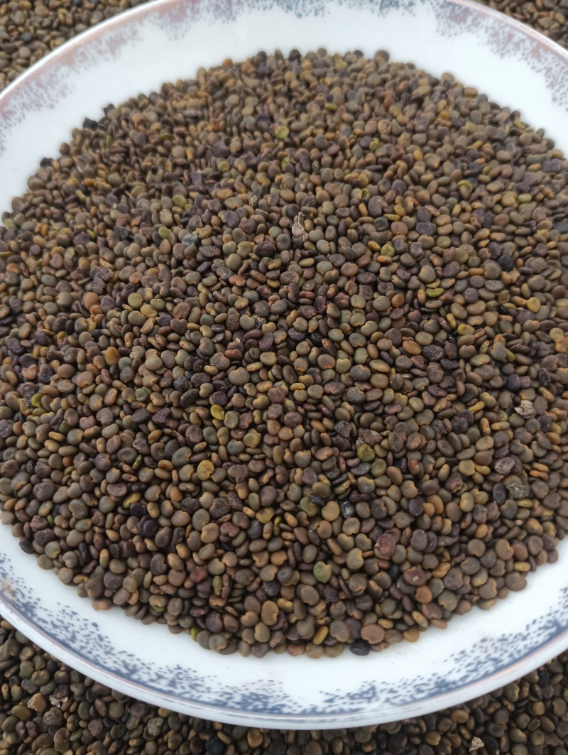 沙苑子实物实拍现货供应批发各种中药材量大优惠