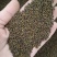 沙苑子实物实拍现货供应批发各种中药材量大优惠