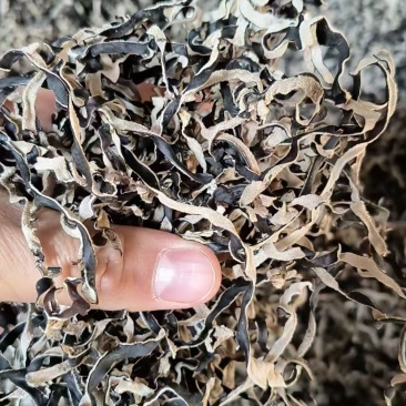 木耳丝A货头茬15一斤，一箱20斤