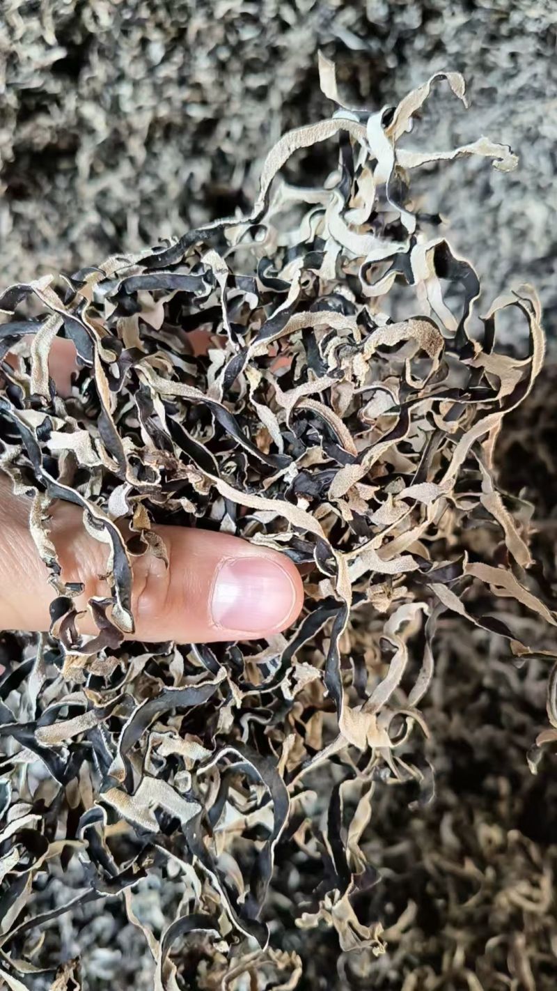 木耳丝A货头茬15一斤，一箱20斤
