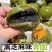 艾草青团网红零食蛋黄肉松豆沙青团子清明果糕点零食小吃批发