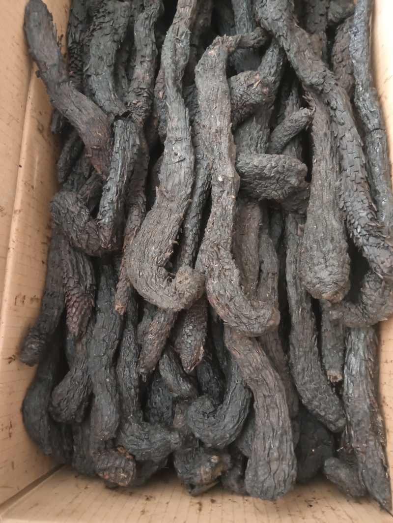 肉苁蓉肉苁蓉个子大芸个子选货供应欢迎选购