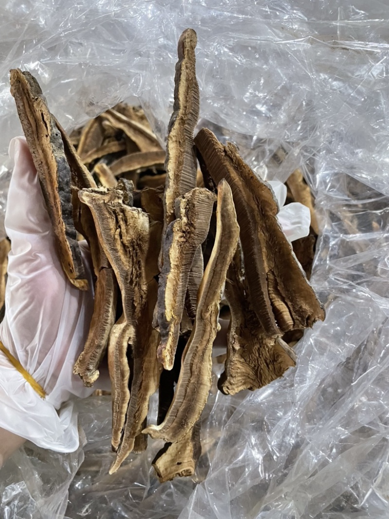 野生黑灵芝片不苦薄树芝切片煲汤煮水均可全国供应